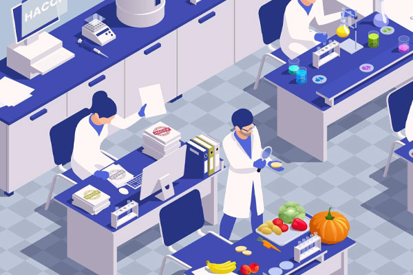 labdidattici4